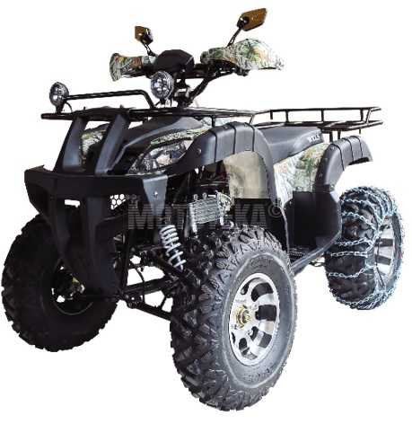 Купить Квадроцикл WELS Thunder 200 Lux в Москве
