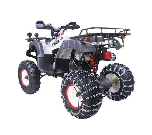 Купить Квадроцикл WELS Thunder 200 Lux в Москве фото3