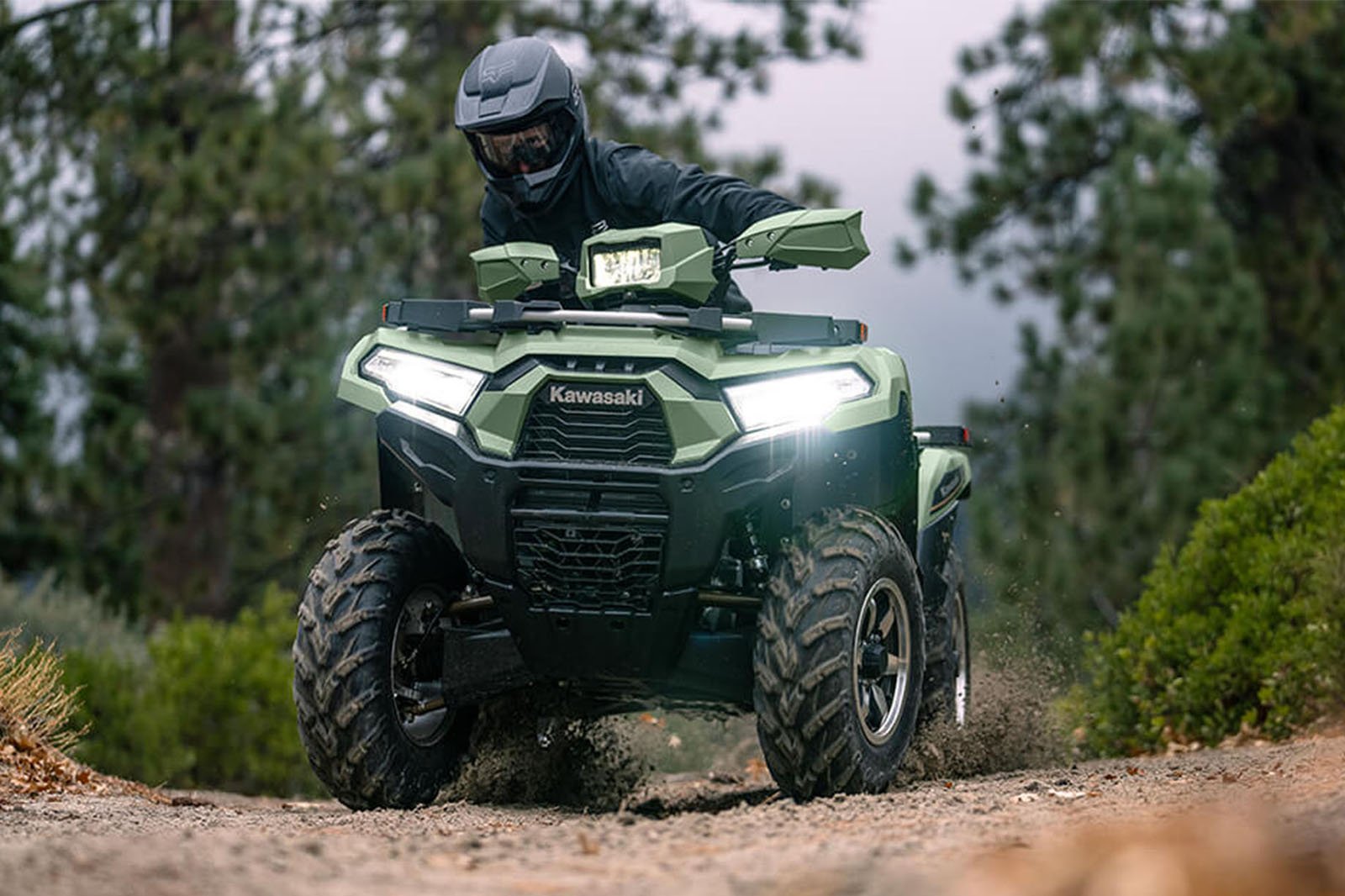 Купить Квадроцикл KAWASAKI Brute Force 750 LE EPS (2024) (ПСМ) в Москве фото5