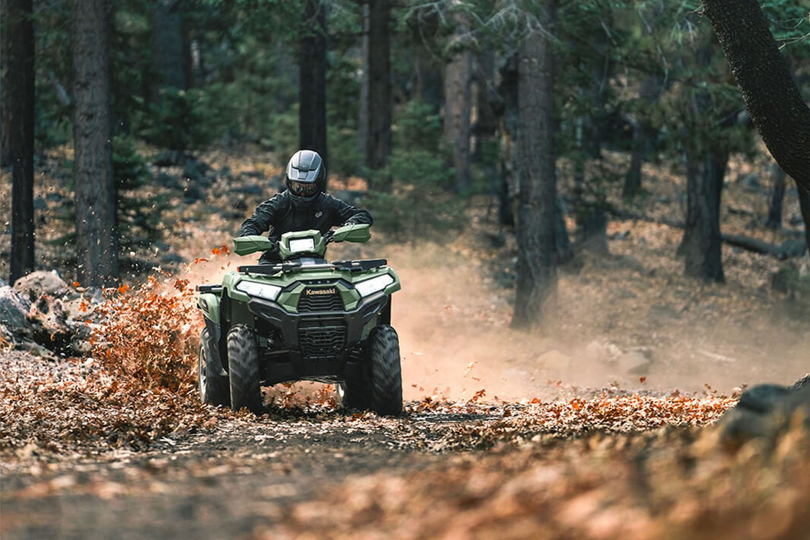 Купить Квадроцикл KAWASAKI Brute Force 750 LE EPS (2024) (ПСМ) в Москве фото8