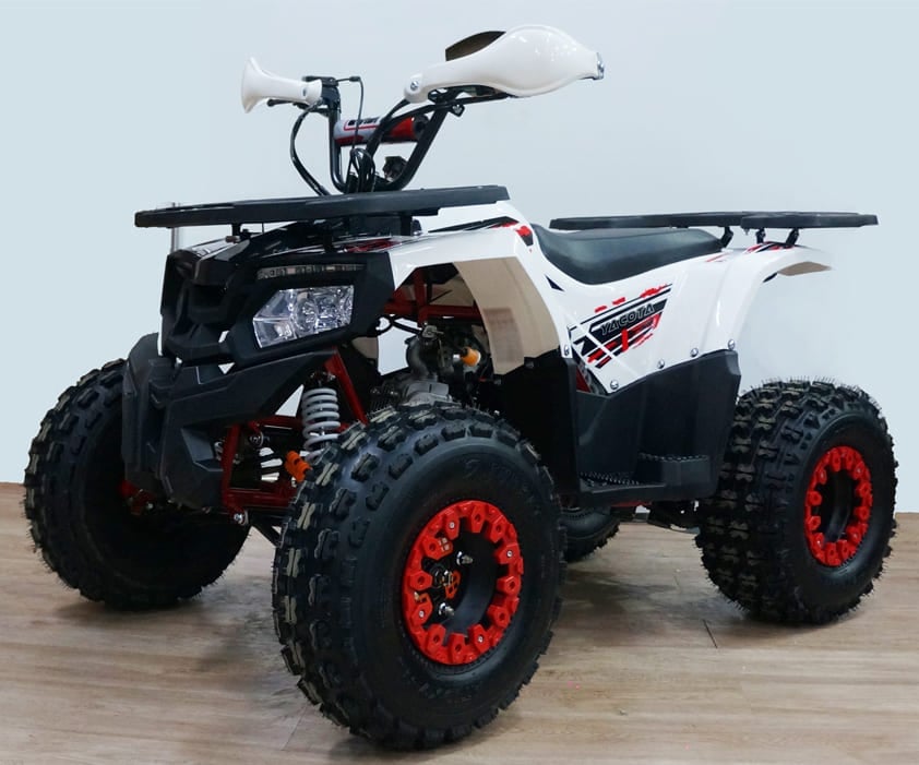 Купить Квадроцикл YACOTA Fusion 125 в Москве фото2