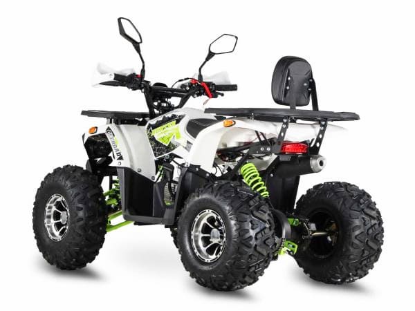 Купить Квадроцикл GRIZZLY Aerox 125 в Москве фото3