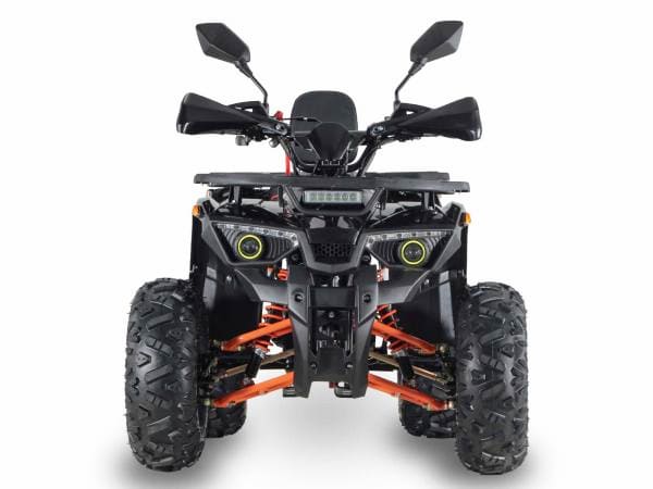 Купить Квадроцикл GRIZZLY Aerox 125 в Москве фото4