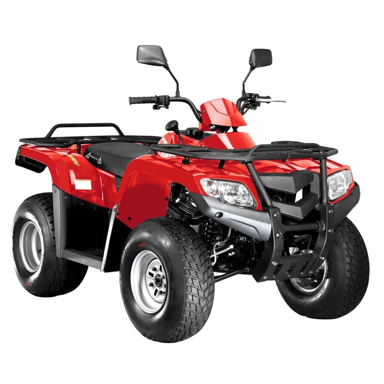 Купить Квадроцикл ARMADA ATV 200L в Москве