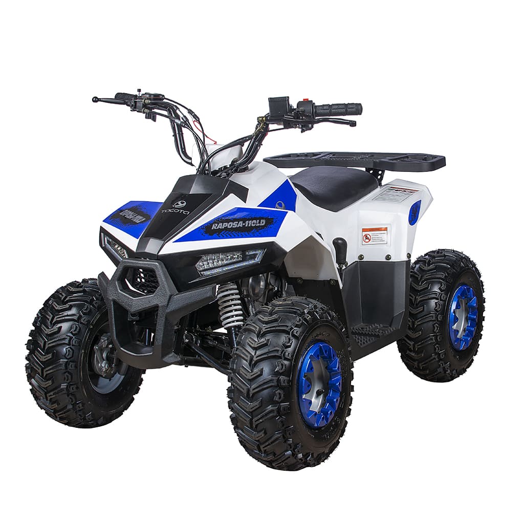 Купить Квадроцикл YACOTA Raposa в Москве