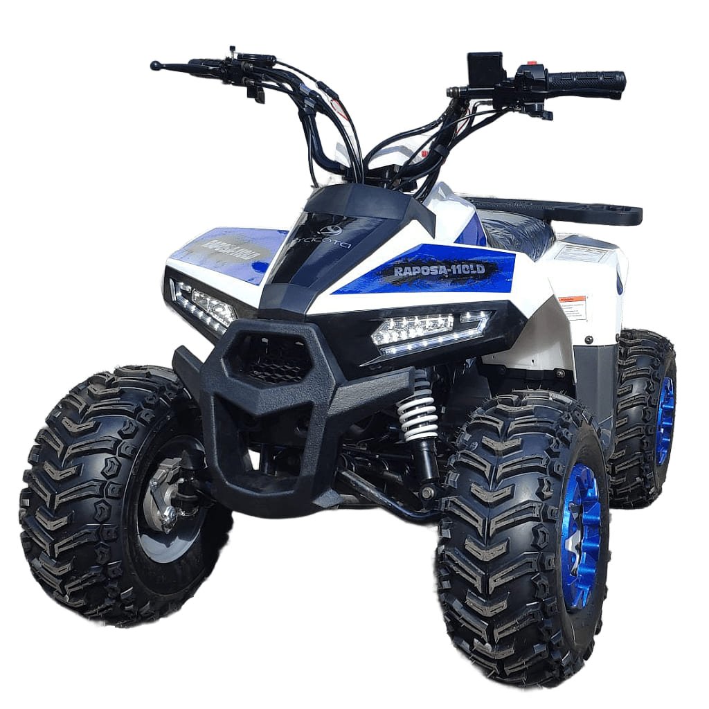 Купить Квадроцикл YACOTA Raposa в Москве фото2