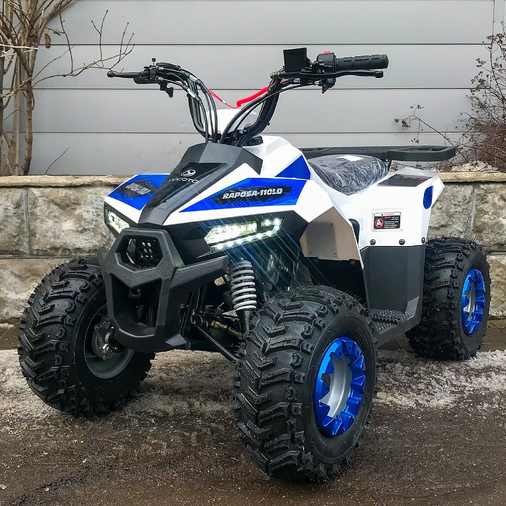 Купить Квадроцикл YACOTA Raposa в Москве фото3