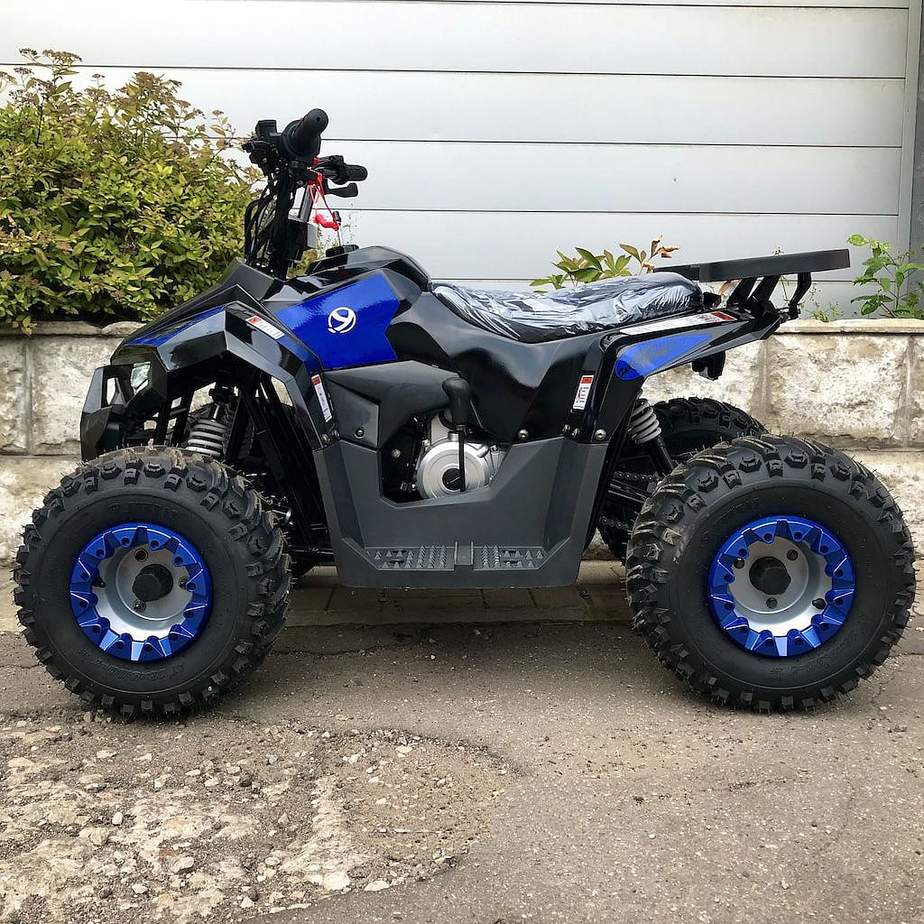 Купить Квадроцикл YACOTA Raposa в Москве фото4