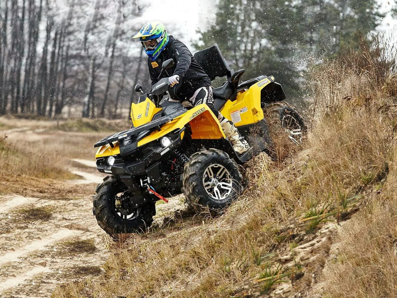 Купить Квадроцикл STELS ATV 650 Guepard ST (ПСМ) в Москве фото3