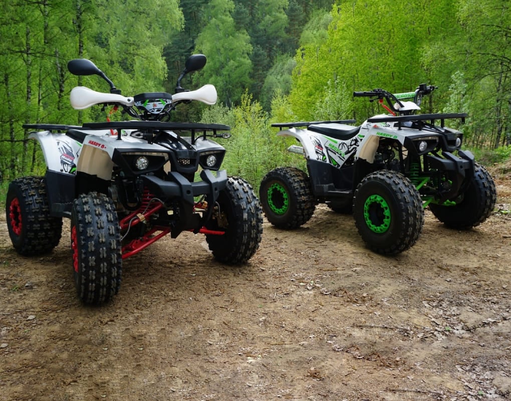 Купить Квадроцикл MOWGLI Hardy 8M в Москве фото4