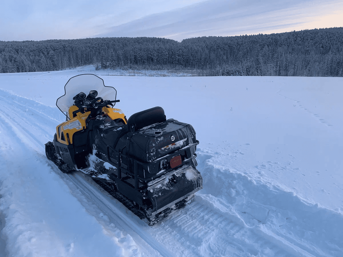 Купить Снегоход STELS S600 Viking ST 2.0 CVTech Б/У в Москве фото3