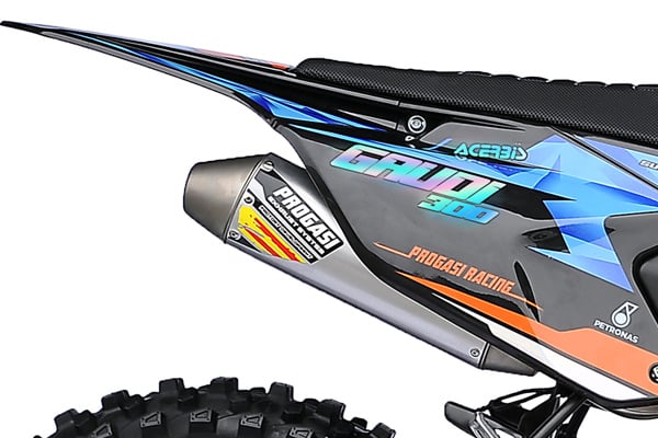 Купить Мотоцикл кроссовый эндуро PROGASI Gaudi 300 ENDURO в Москве фото2