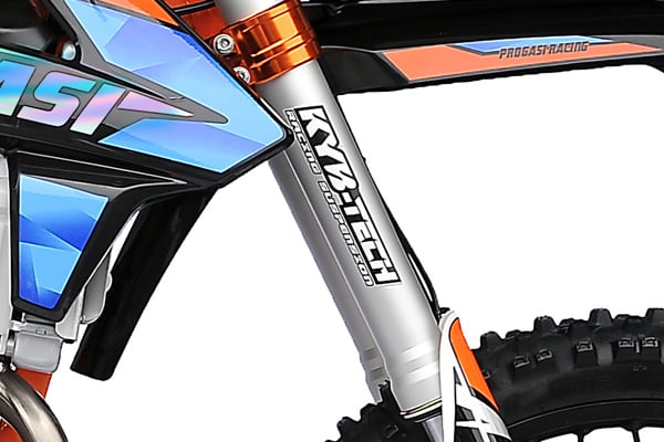 Купить Мотоцикл кроссовый эндуро PROGASI Gaudi 300 ENDURO в Москве фото4