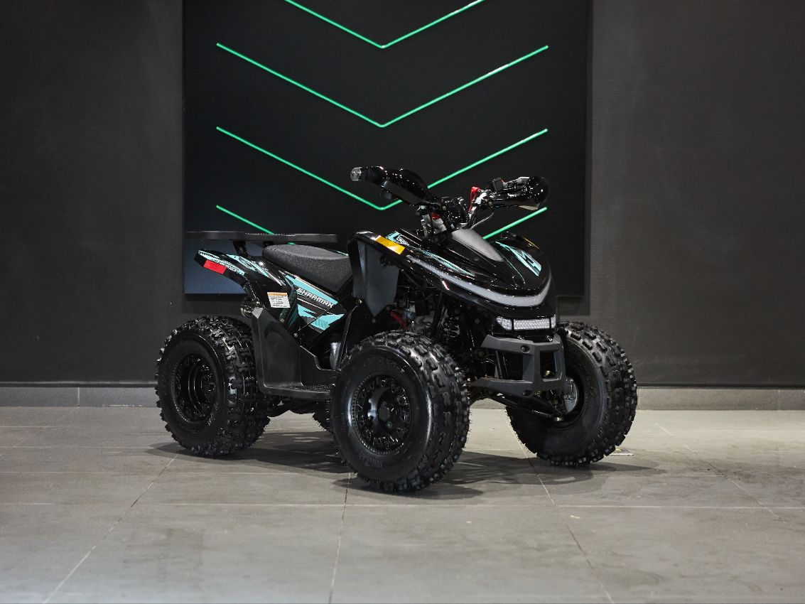 Купить Квадроцикл SHARMAX Cross 180 RX в Москве фото34