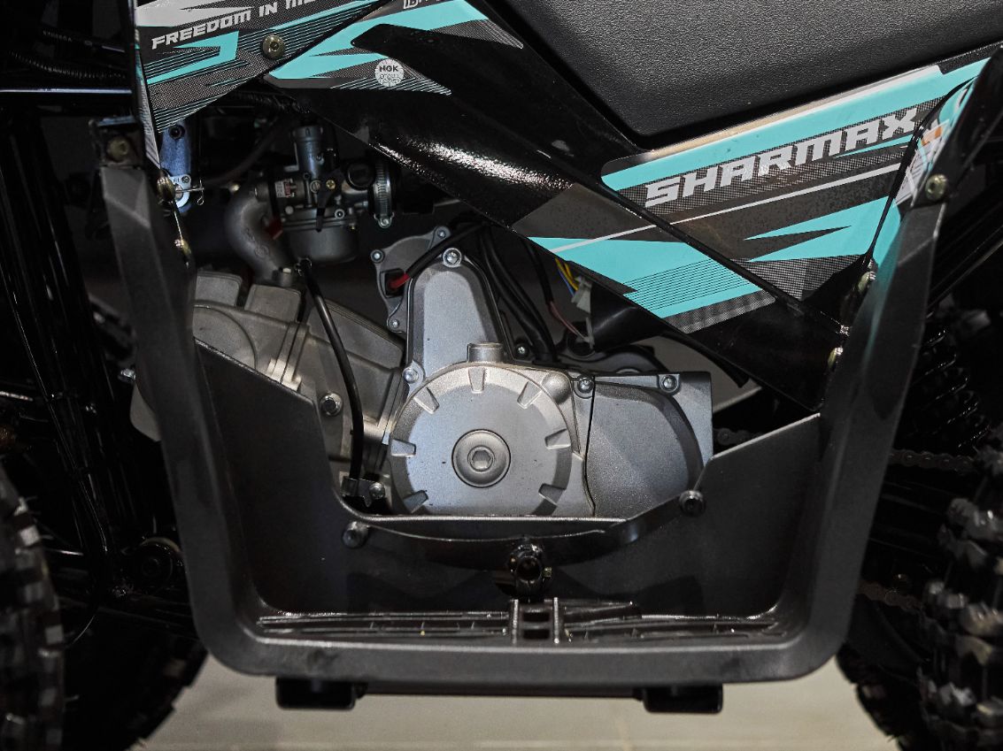 Купить Квадроцикл SHARMAX Cross 180 RX в Москве фото40