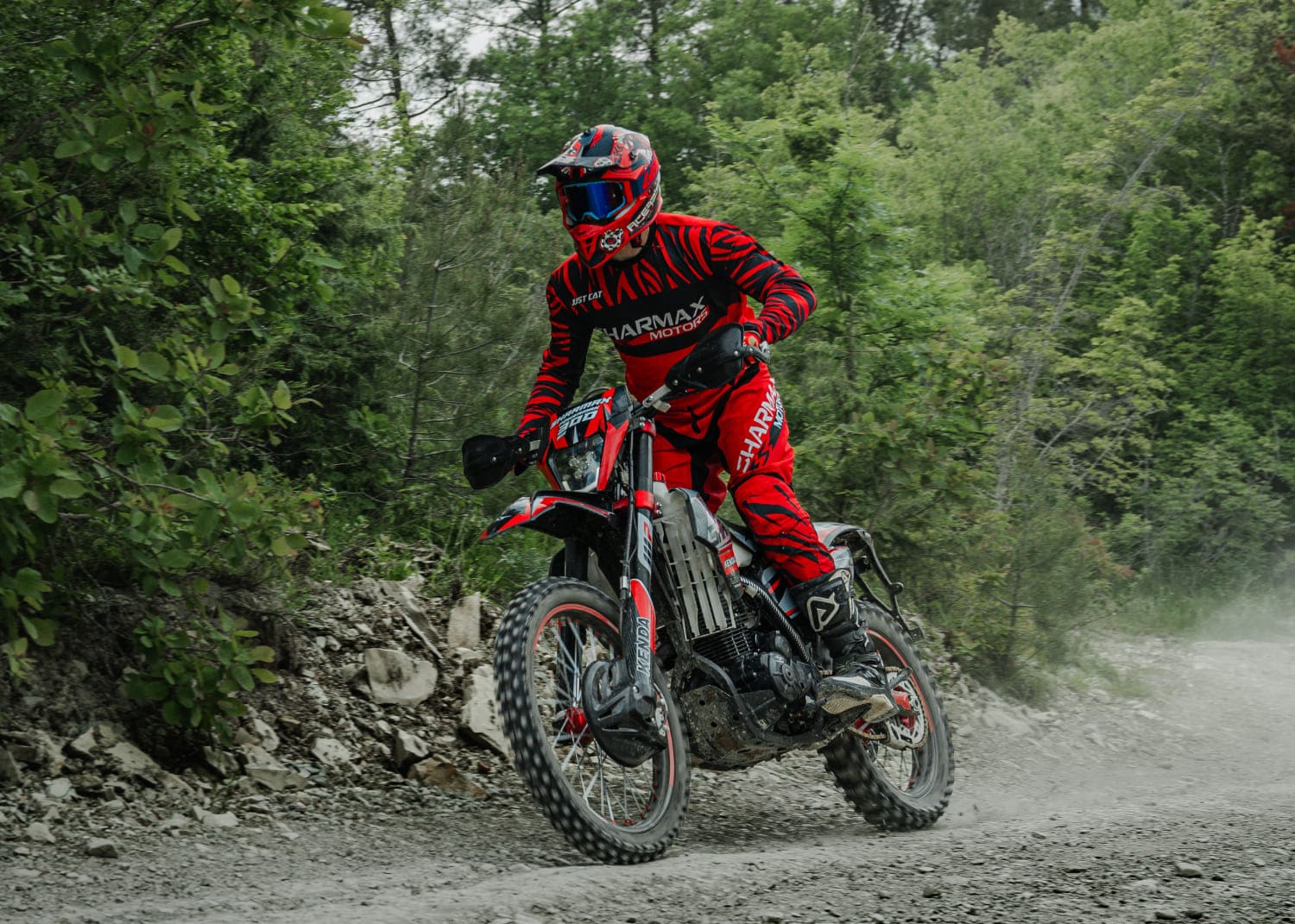 Купить Мотоцикл кроссовый эндуро SHARMAX PowerMax 300 Air 2025 в Москве фото20