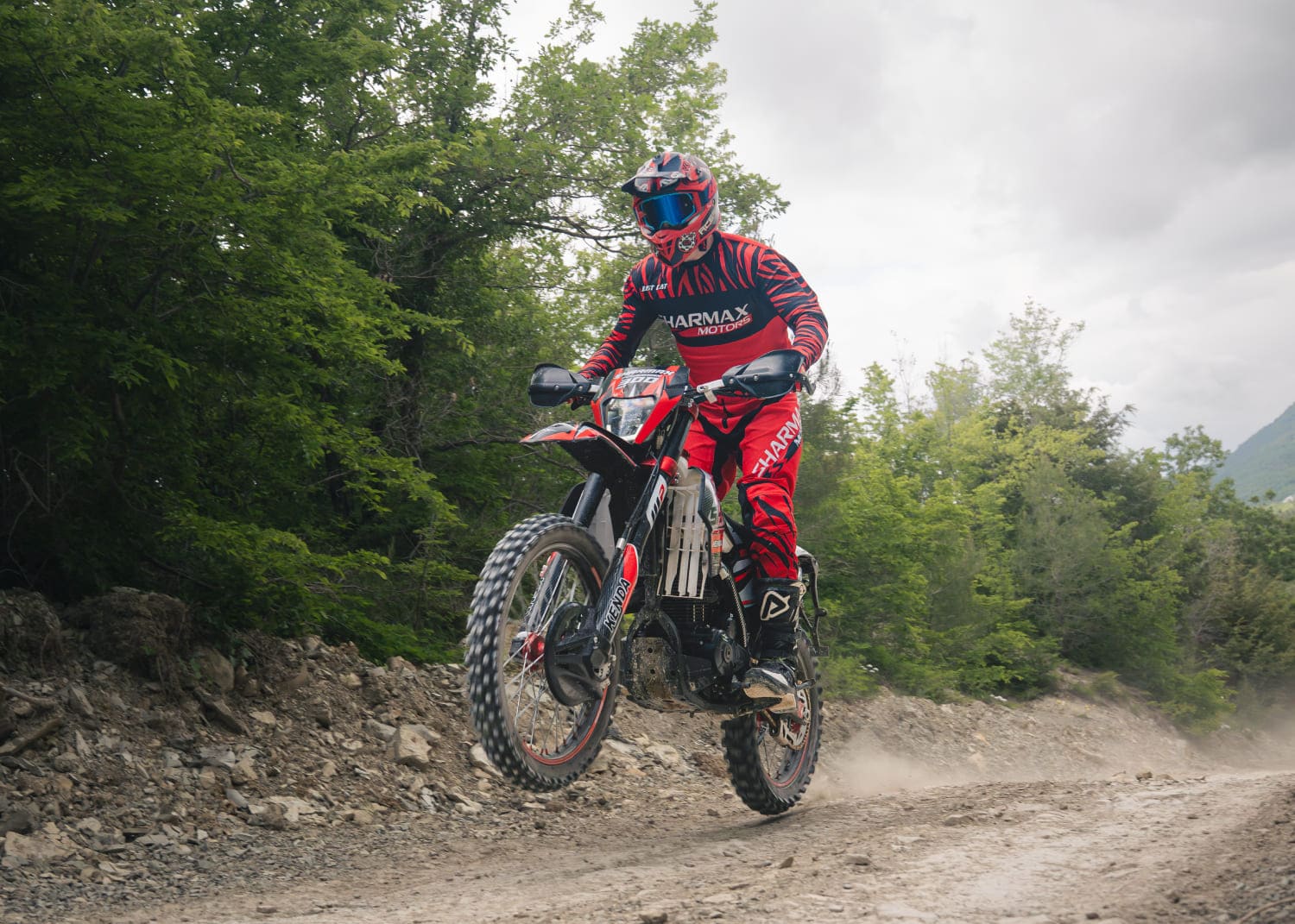 Купить Мотоцикл кроссовый эндуро SHARMAX PowerMax 300 Air 2025 в Москве фото30