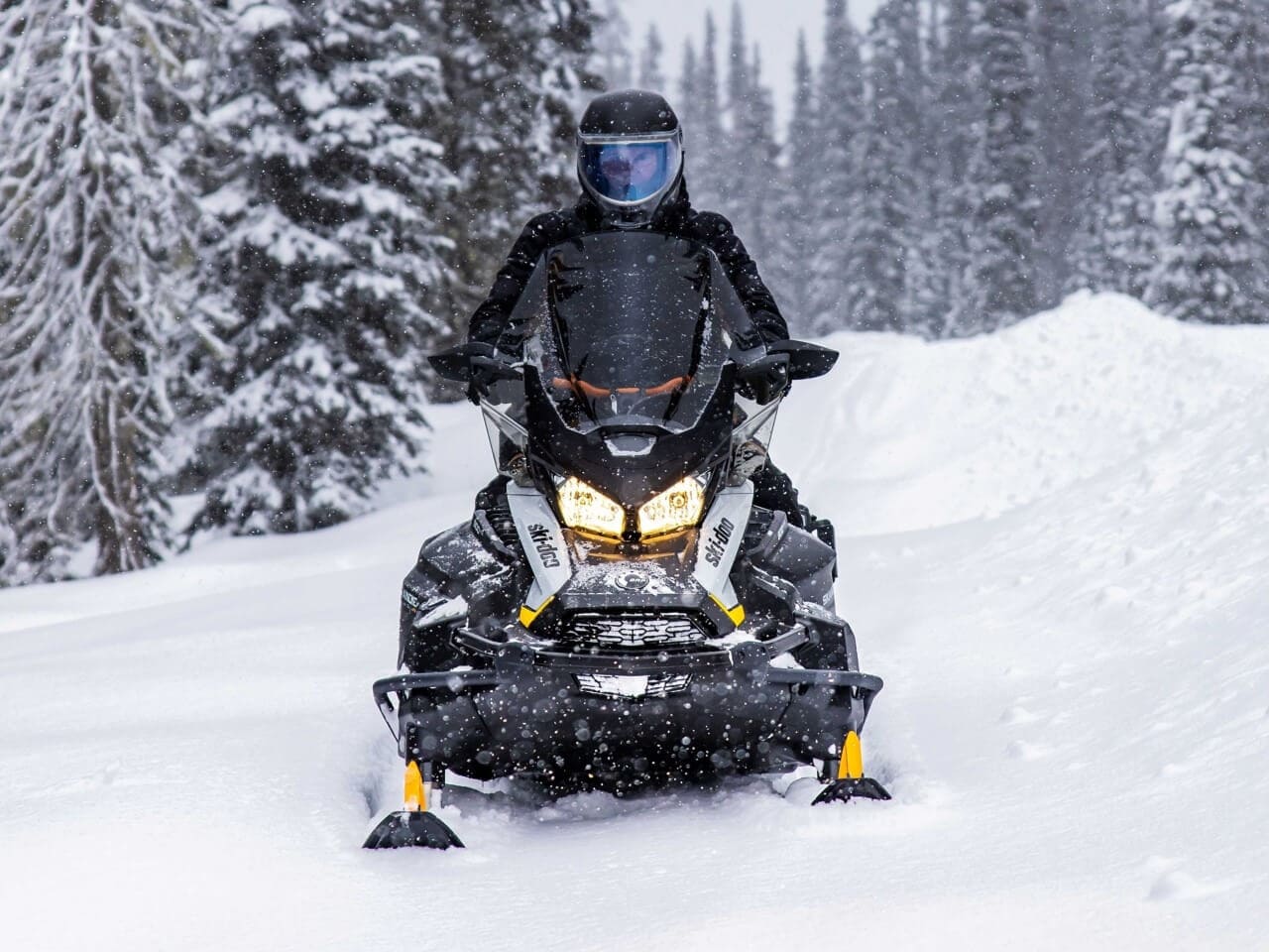Купить Снегоход BRP Ski-Doo Skandic LE 20″ 900 Ace (2023) в Москве фото3