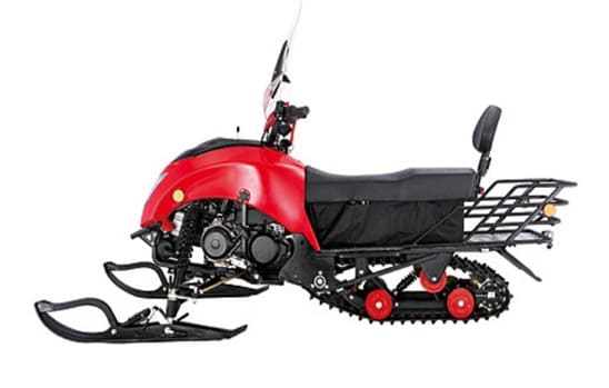 Купить Снегоход REGULMOTO Raccoon разборный в Красноярске фото2