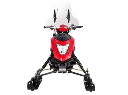 Купить Снегоход REGULMOTO Raccoon разборный в Красноярске фото3