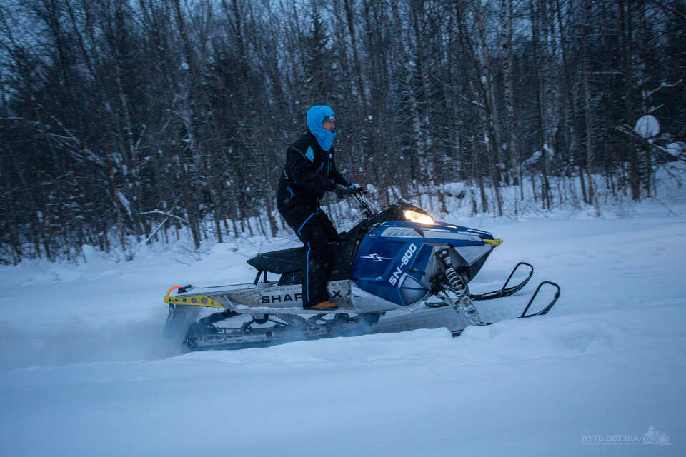 Купить Снегоход SHARMAX SN-800 в Москве фото17