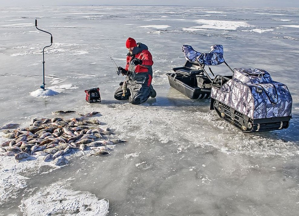 Купить Мотобуксировщик BALTMOTORS Snowdog Standard Z15 в Москве фото5