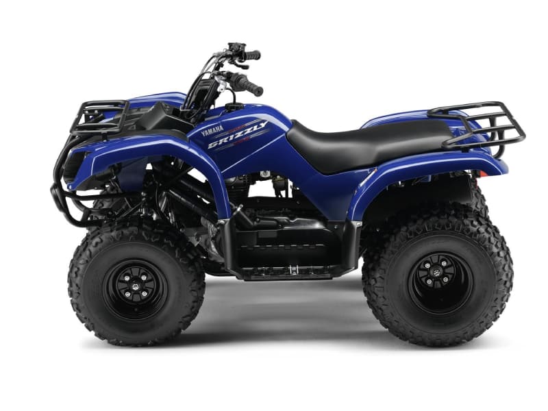 Купить Квадроцикл GRIZZLY 125 в Москве фото2