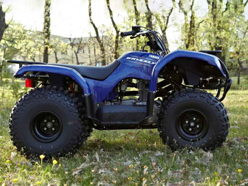 Купить Квадроцикл GRIZZLY 125 в Москве фото3