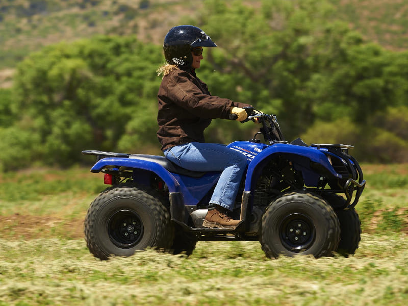 Купить Квадроцикл GRIZZLY 125 в Москве фото5