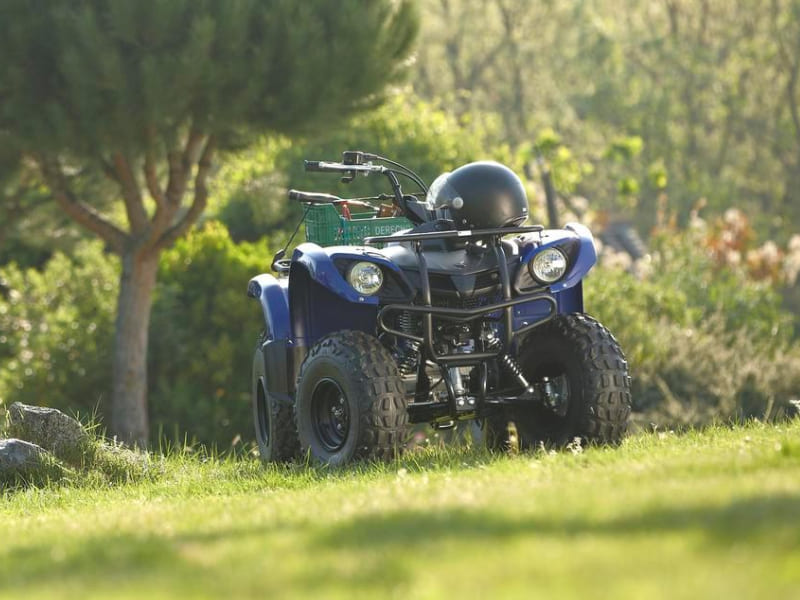 Купить Квадроцикл GRIZZLY 125 в Москве фото6