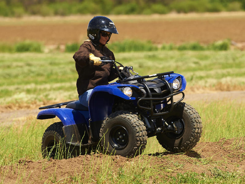 Купить Квадроцикл GRIZZLY 125 в Москве фото7