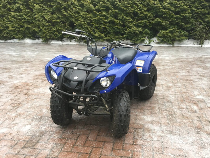 Купить Квадроцикл GRIZZLY 125 в Москве фото8