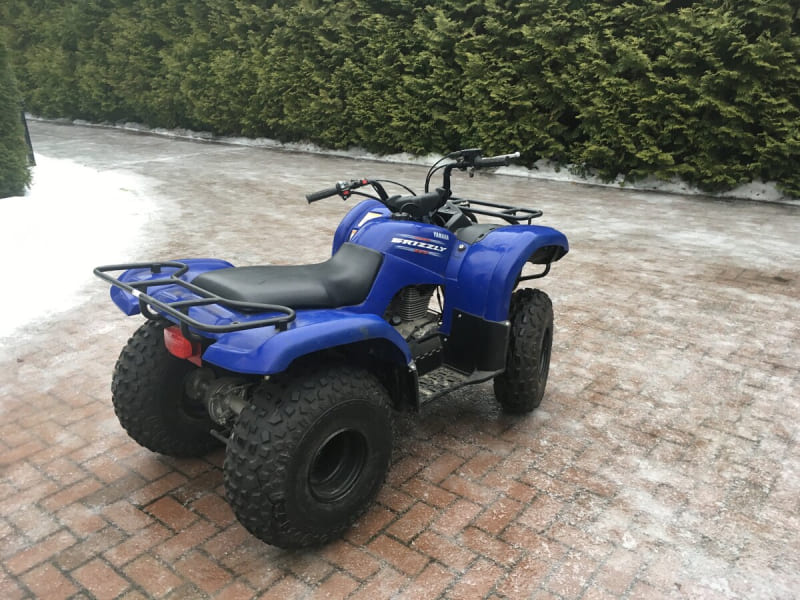 Купить Квадроцикл GRIZZLY 125 в Москве фото9