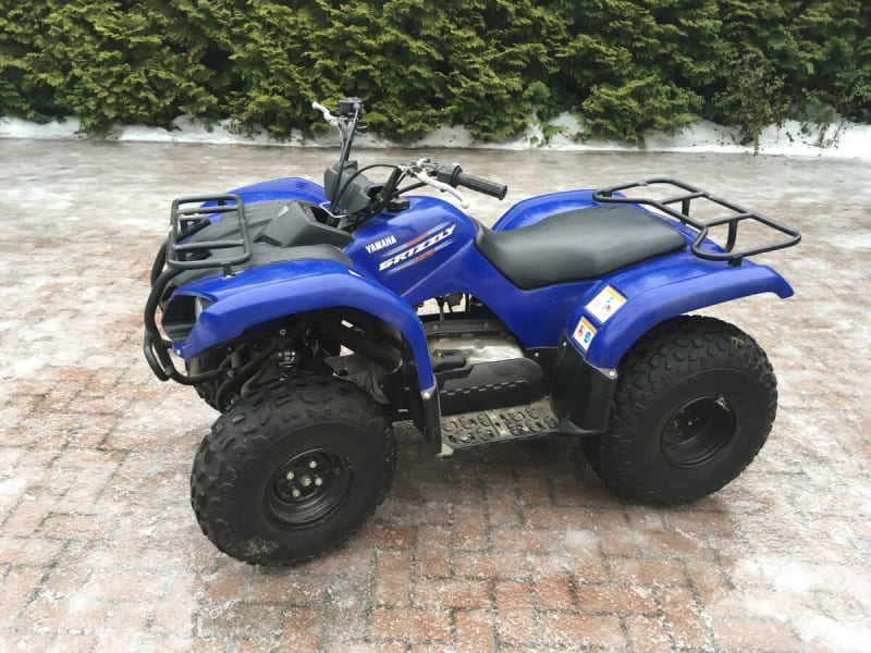 Купить Квадроцикл GRIZZLY 125 в Москве фото10