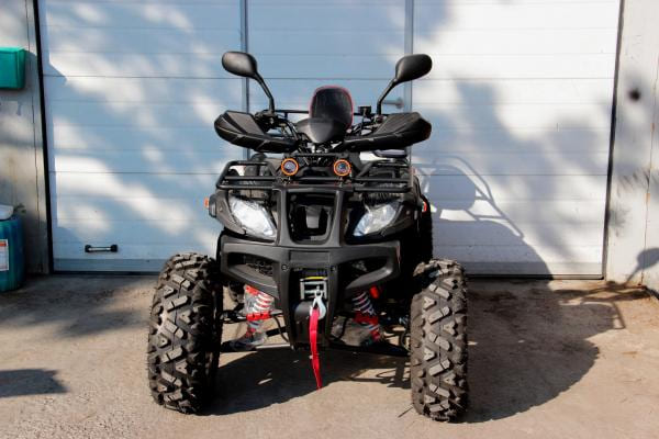 Купить Квадроцикл GRIZZLY 250 в Москве фото5