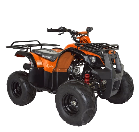 Купить Квадроцикл ABM Ninja 110 в Москве фото2