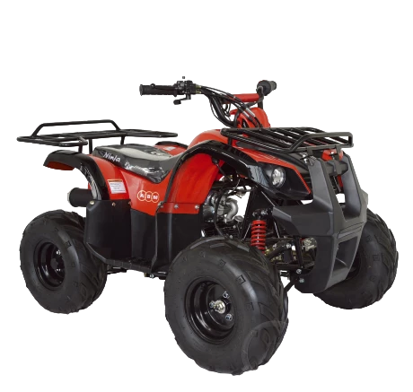 Купить Квадроцикл ABM Ninja 110 в Москве фото3