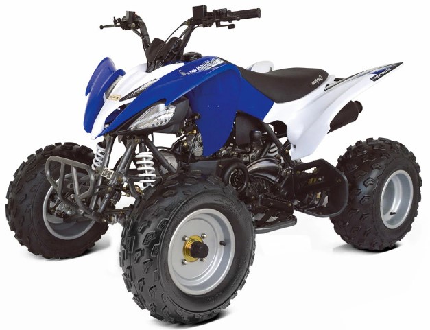 Купить Квадроцикл ABM Scorpion 150 в Москве фото3