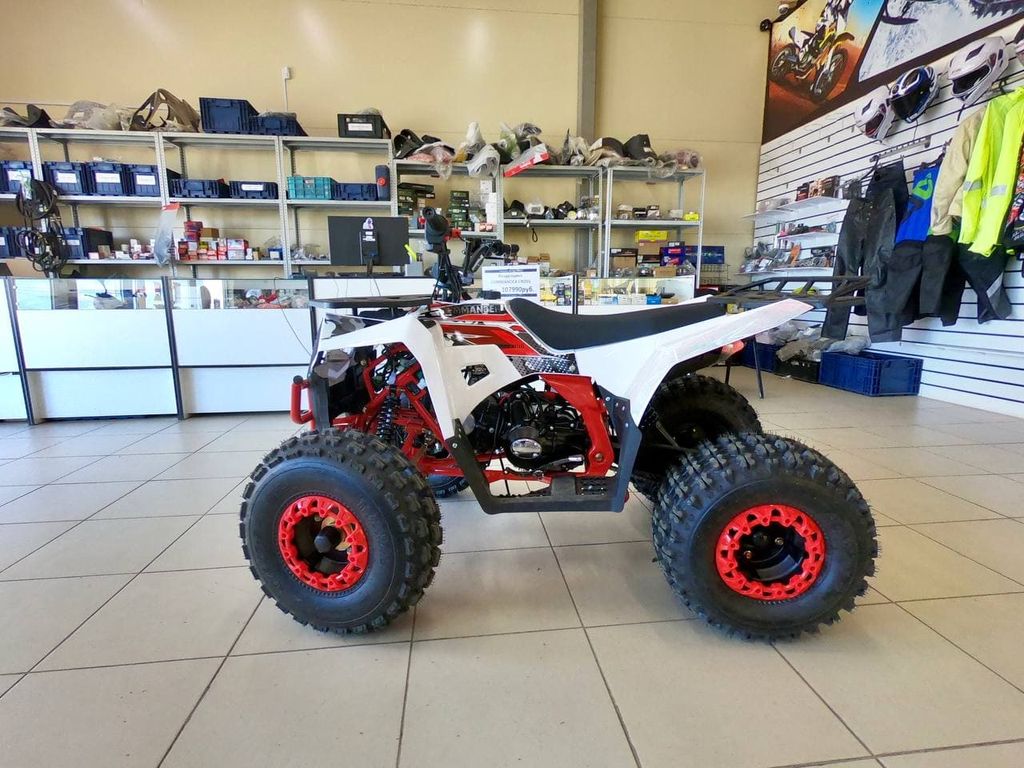 Купить Квадроцикл ATV Commander 2 Cross в Москве фото4