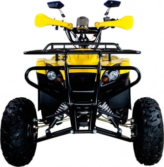 Купить Квадроцикл AVANTIS Patriot M в Москве фото2