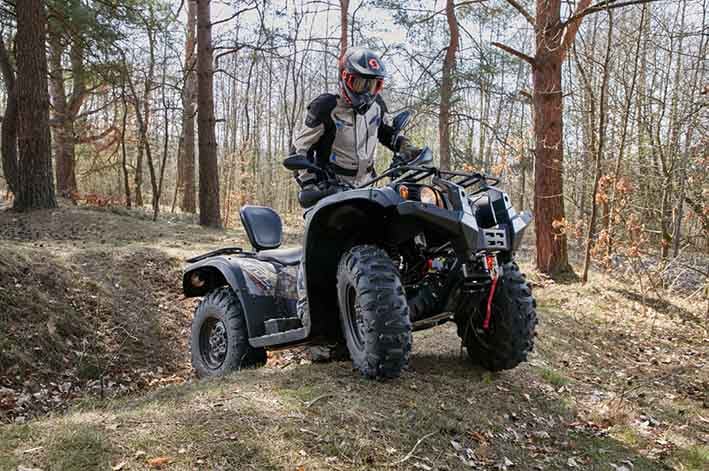 Купить Квадроцикл BALTMOTORS Striker 400 EFI в Москве фото20