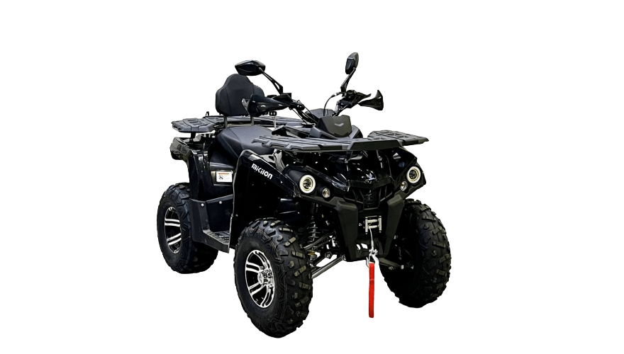 Купить Квадроцикл BISON Hammer 200L Lux в Москве фото2