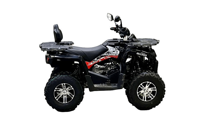 Купить Квадроцикл BISON Hammer 200L Lux в Москве фото6