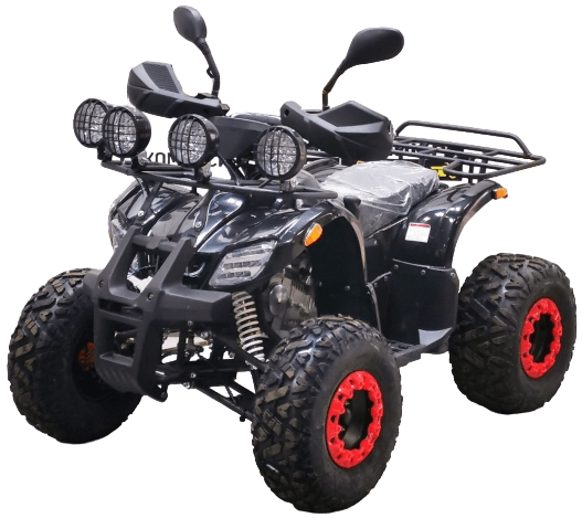 Купить Квадроцикл BISON Kids 125 LD в Москве