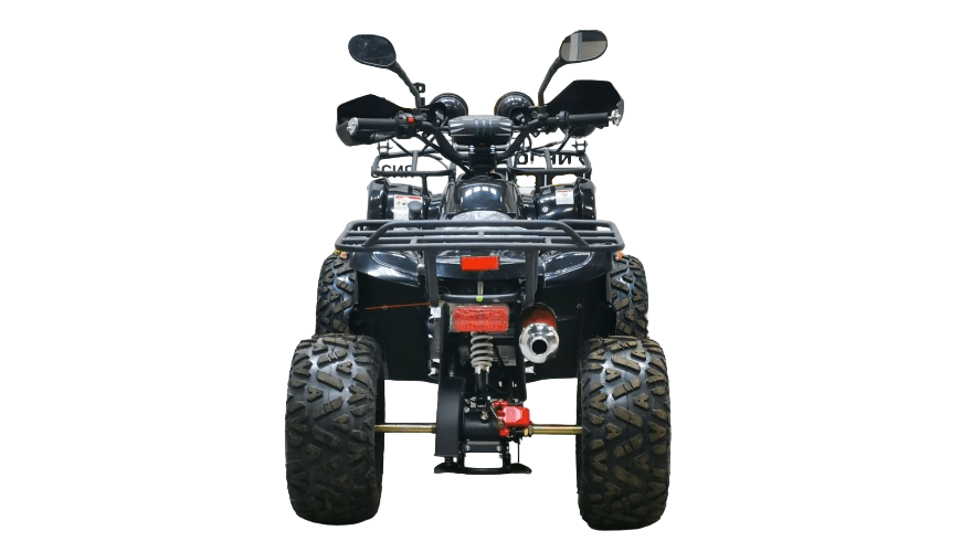 Купить Квадроцикл BISON Kids 125 LD в Москве фото2