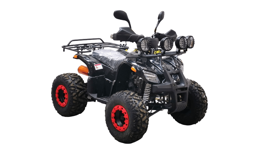 Купить Квадроцикл BISON Kids 125 LD в Москве фото3