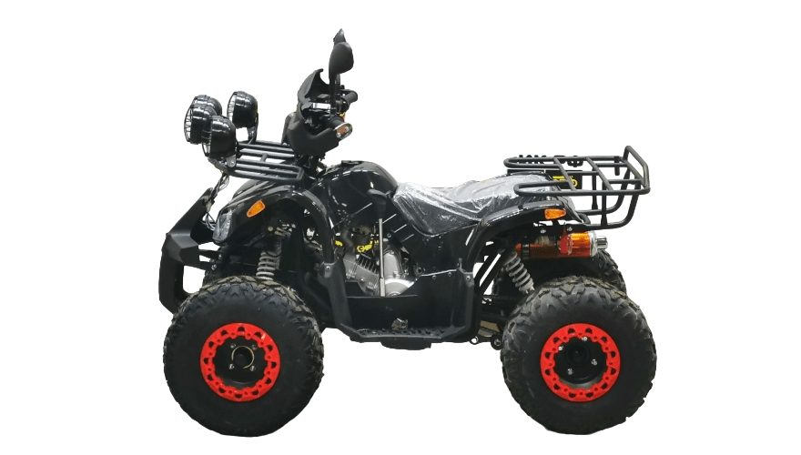 Купить Квадроцикл BISON Kids 125 LD в Москве фото4