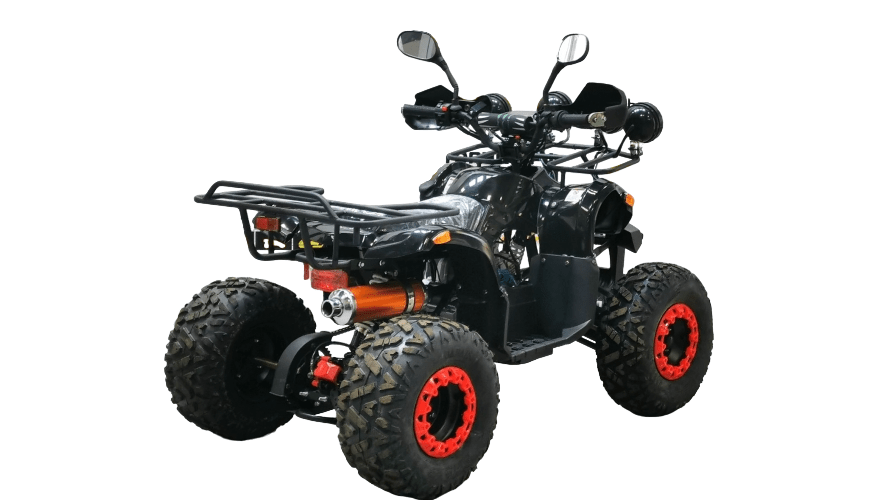 Купить Квадроцикл BISON Kids 125 LD в Москве фото5