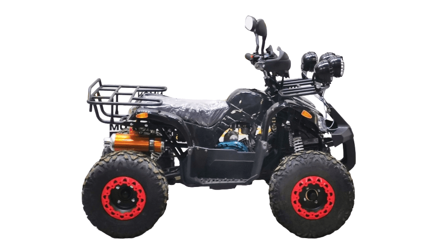 Купить Квадроцикл BISON Kids 125 LD в Москве фото6