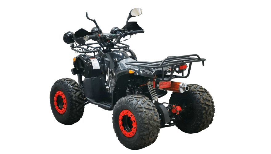 Купить Квадроцикл BISON Kids 125 LD в Москве фото7